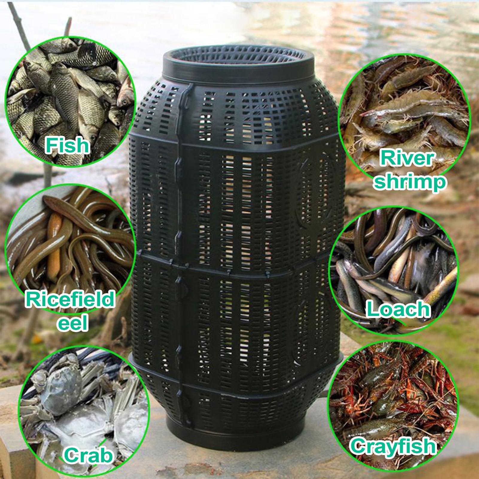 Portable Folding Minnow Fishin - Fishing Equipment Bait ulasan dan harga